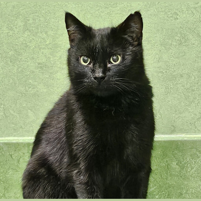 Photo of Magda
