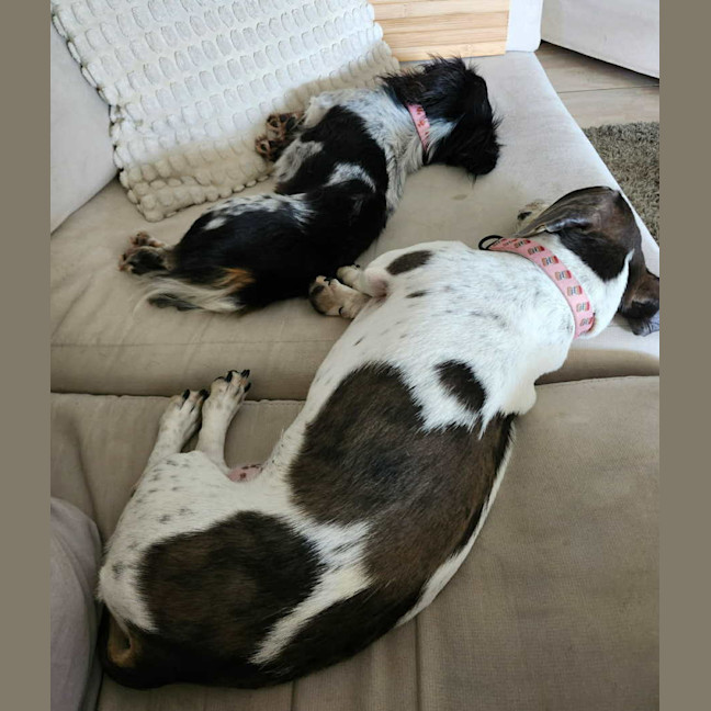 Photo of Ida And Tulsa