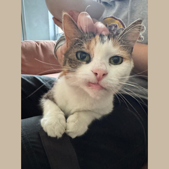 Photo of Amy