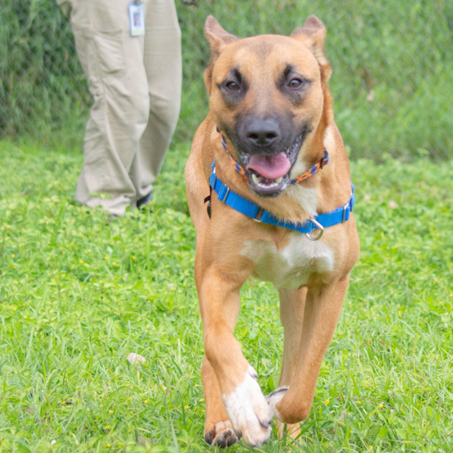 Photo of Roscoe