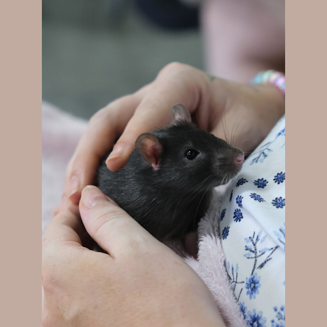 Photo of Charlee