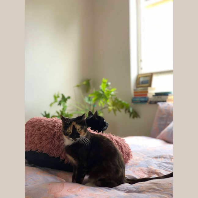 Photo of Viv (Vivienne)