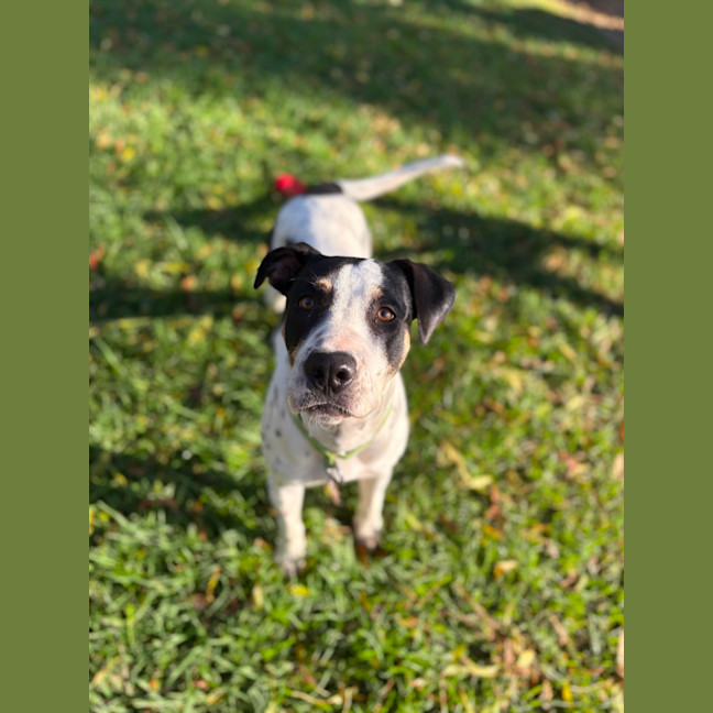 Photo of Patch