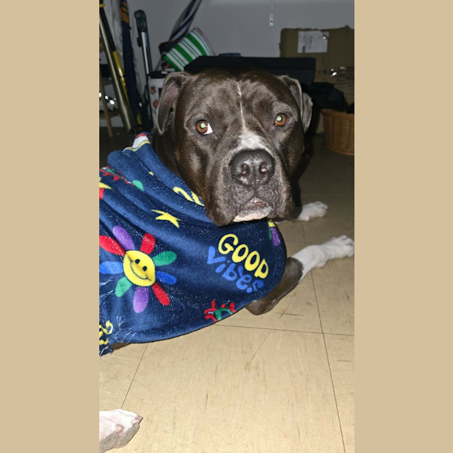 Photo of Yogi