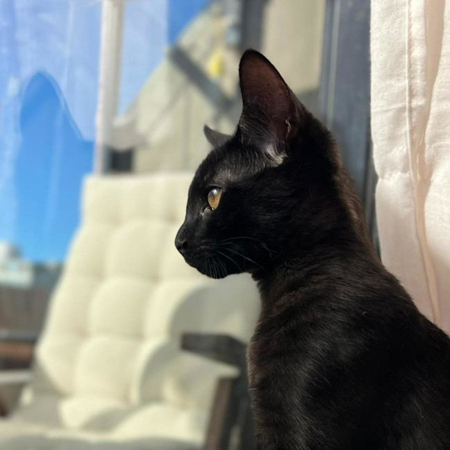 Photo of Bobby