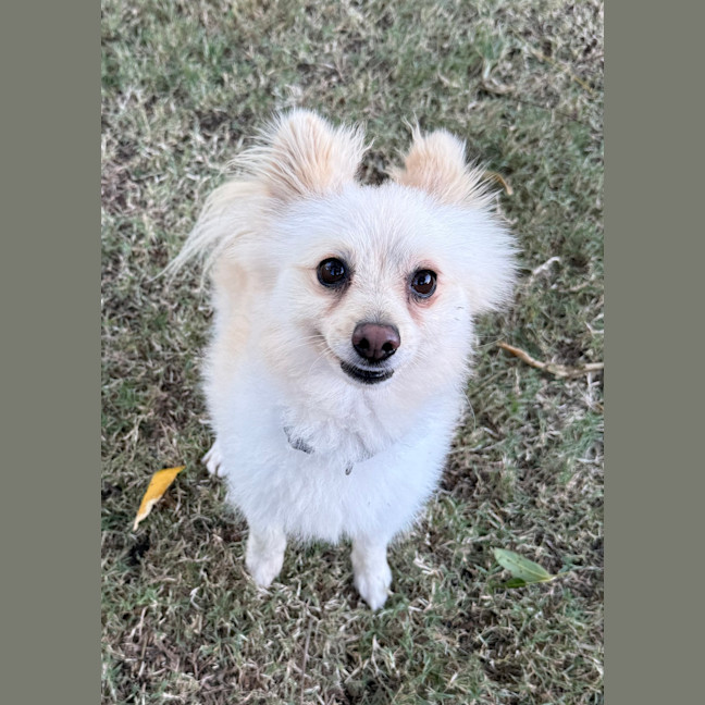 Photo of Herbie