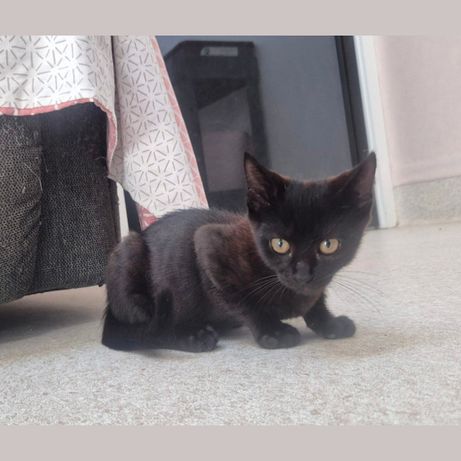 Photo of Mary (9202)