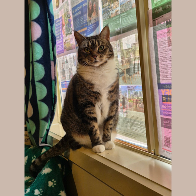 Photo of Luna
