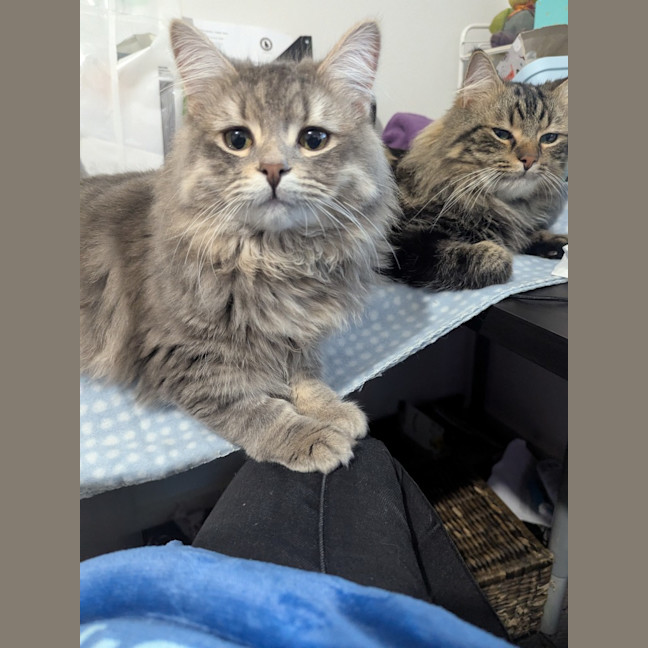 Photo of Wax & Wayne