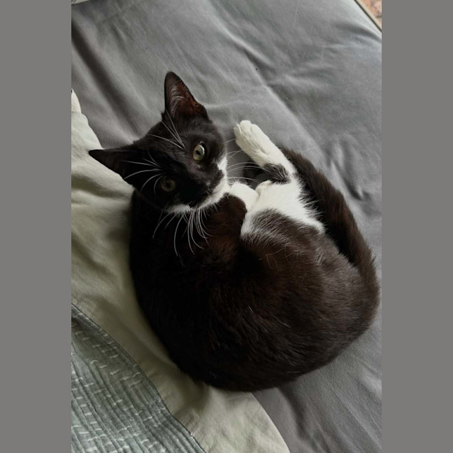 Photo of Miss G