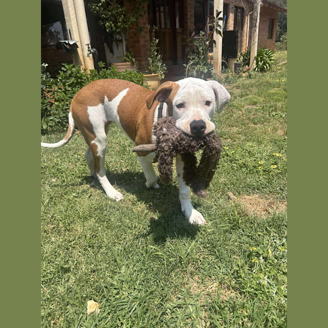 Photo of Maizie