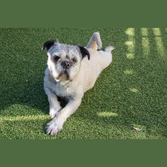 Photo of Molly Wensleydale