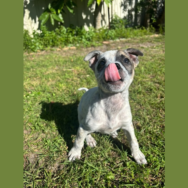 Photo of Preslee
