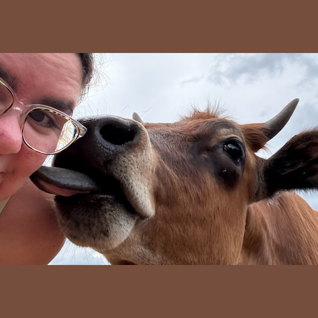 Photo of Biscuit, Bernard & Franklin