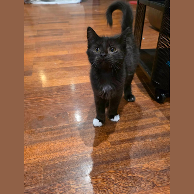 Photo of Toots