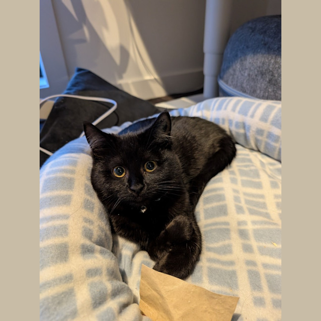 Photo of Dora
