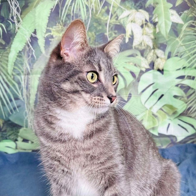 Photo of Greg   Located In Preston