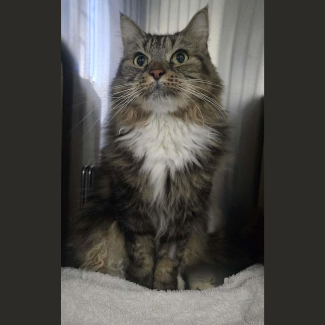 Photo of Lizzie