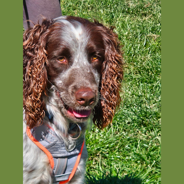 Photo of Max