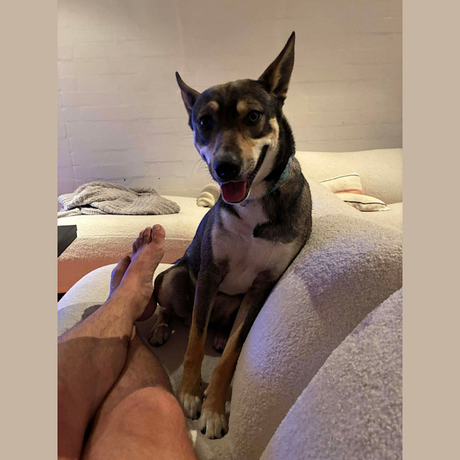 Photo of Max