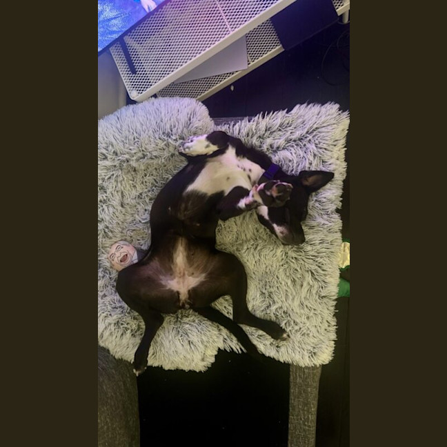 Photo of Boots