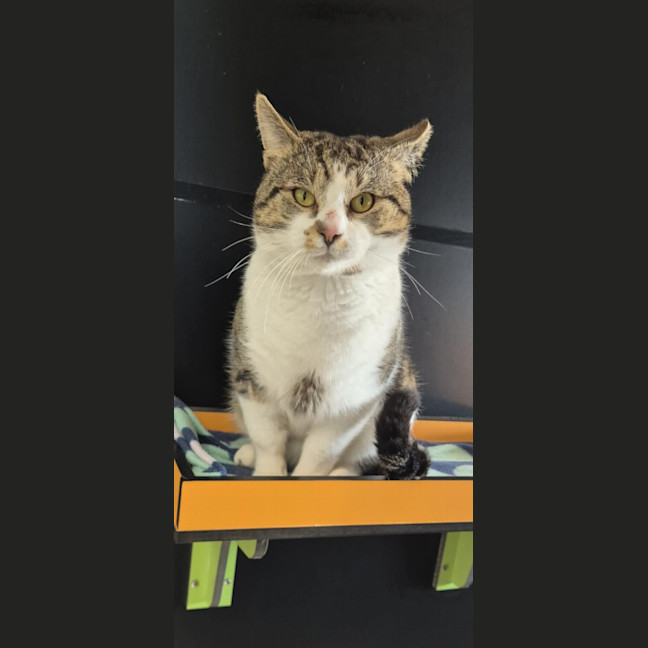 Photo of Gus