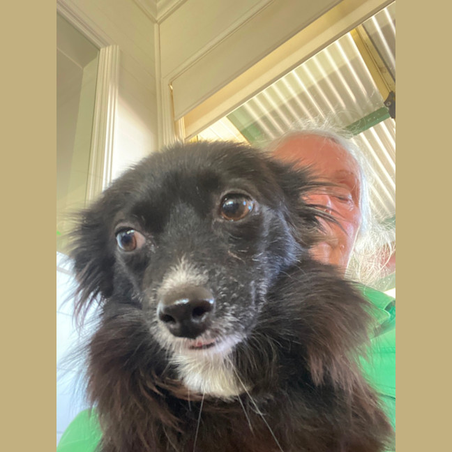 Photo of Tinkerbelle 