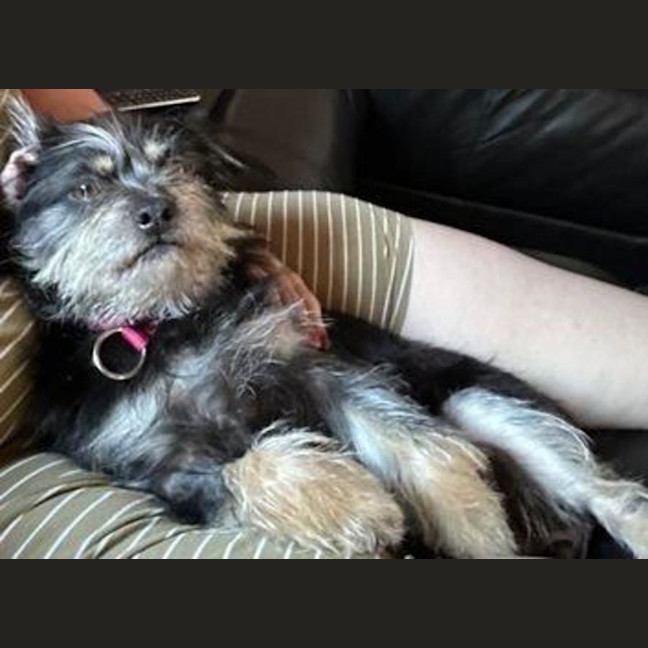 Photo of Jedda O'cleary