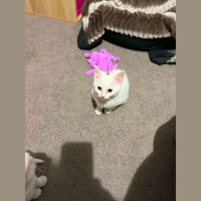 Photo of Jolly