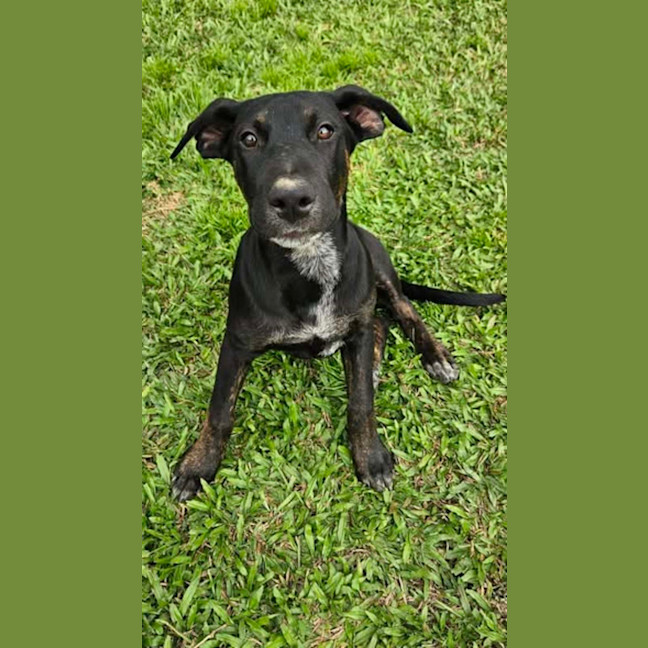 Photo of Dottie