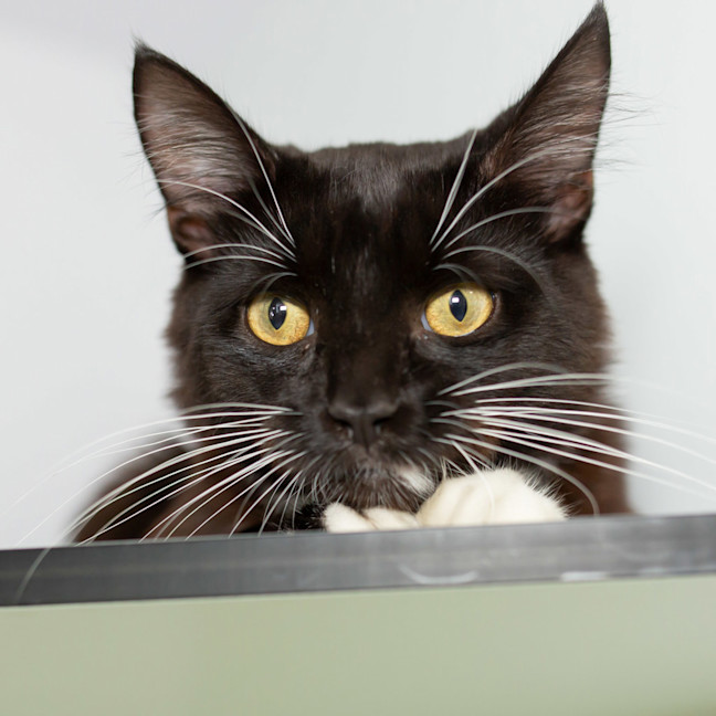 Photo of Mr Biggs