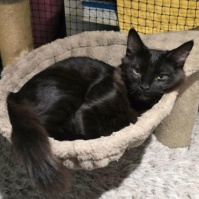 Photo of 13623   Tide