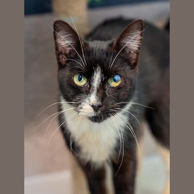 Photo of Finley