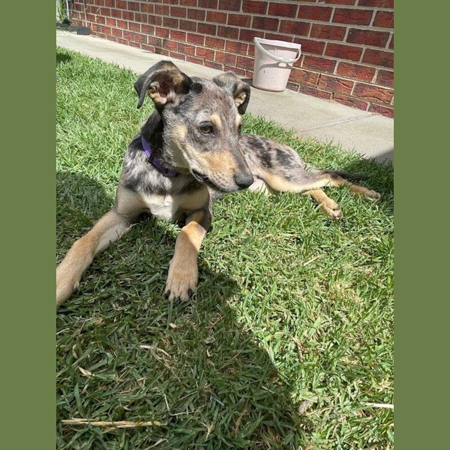 Photo of Delta 💜