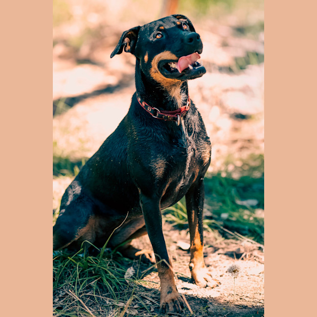 Photo of Lucy