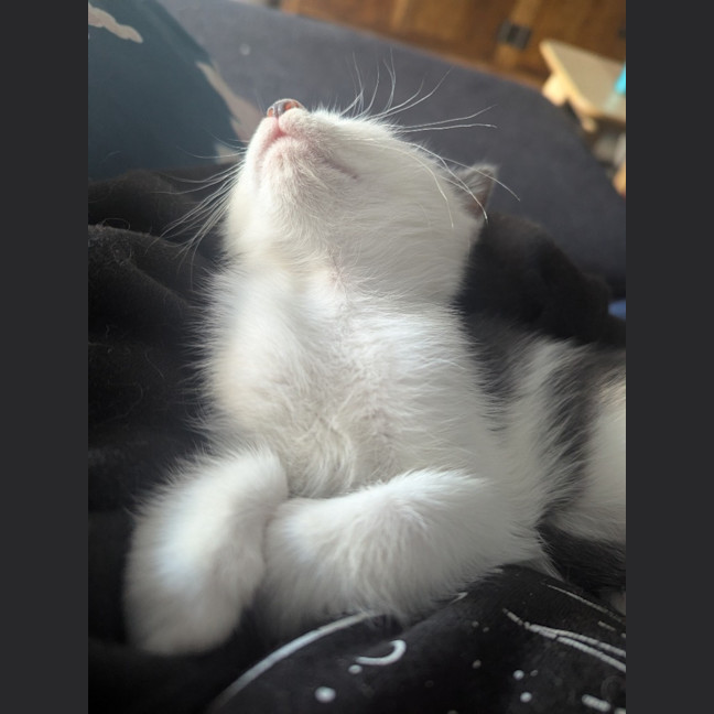 Photo of Minnie Baby