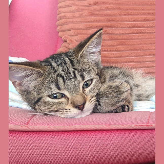 Photo of Jasper