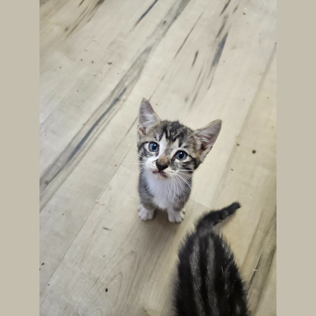 Photo of Buster