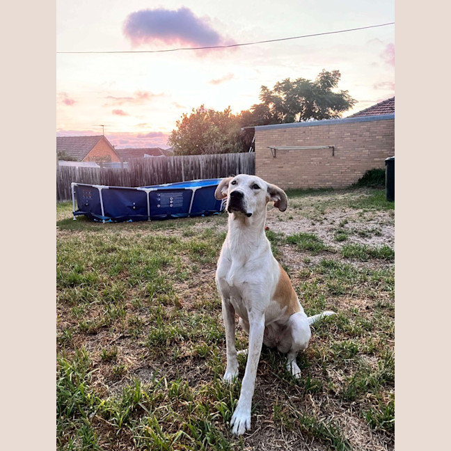 Photo of Noelle 