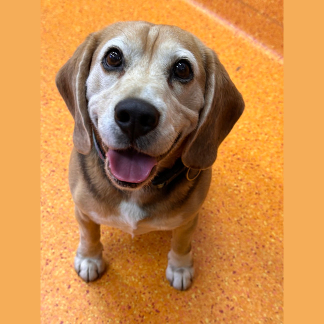 Photo of Bentley