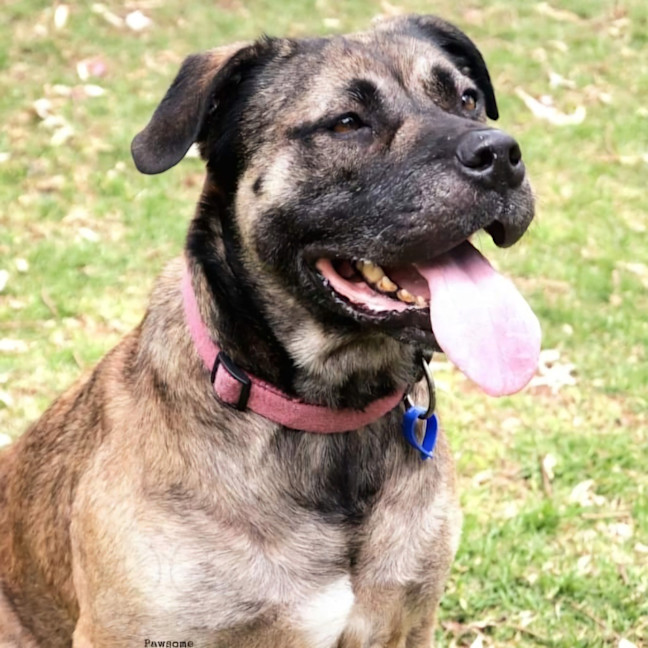 Photo of Bonnie
