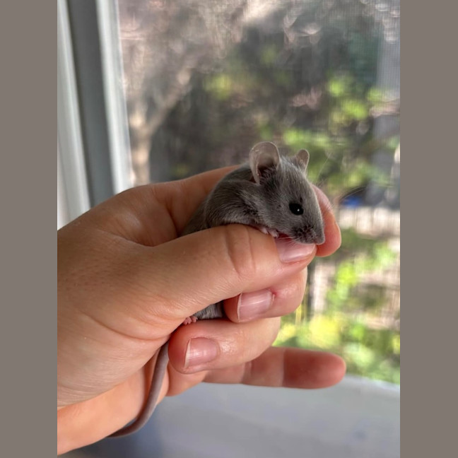 Photo of Christian Grey