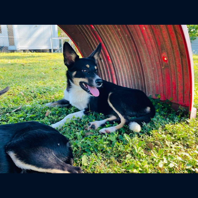 Photo of Pg (Pretty Girl)