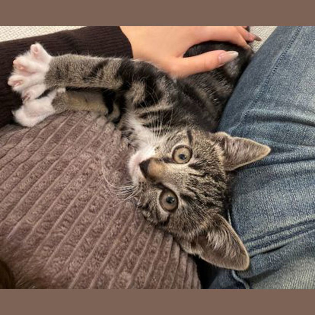 Photo of Leia