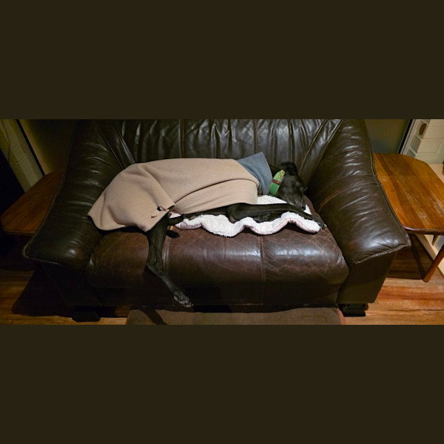 Photo of Sherlock