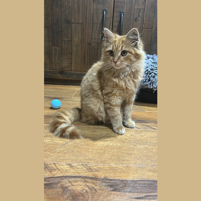 Photo of Binky