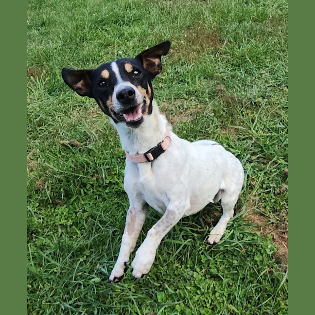 Photo of Tilly