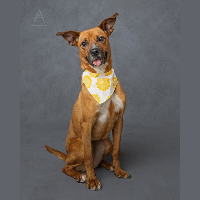 Photo of Athena