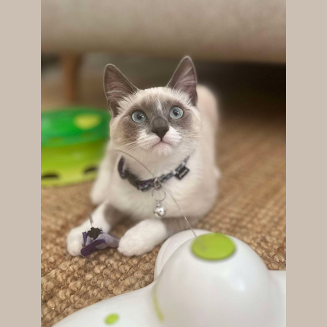 Photo of 💖 Evie 💖