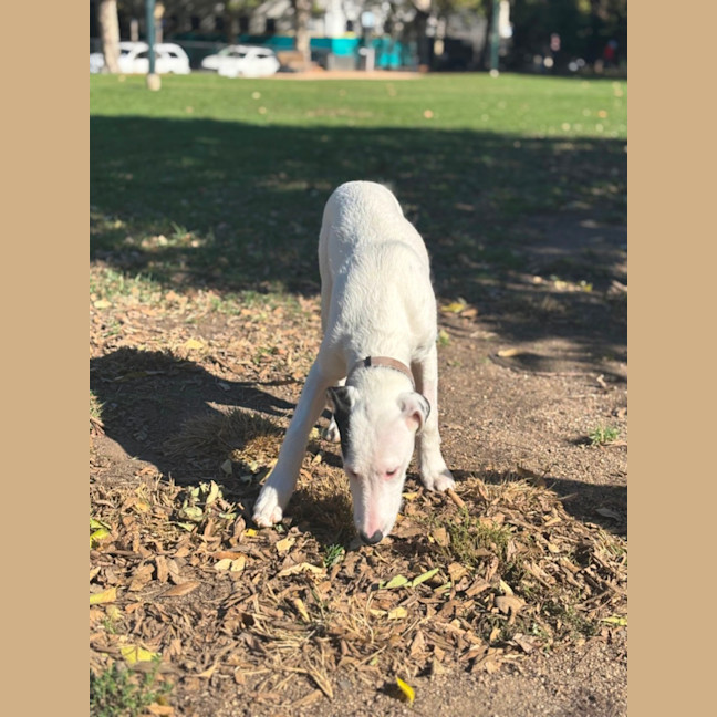 Photo of Biddy 🐾❤️